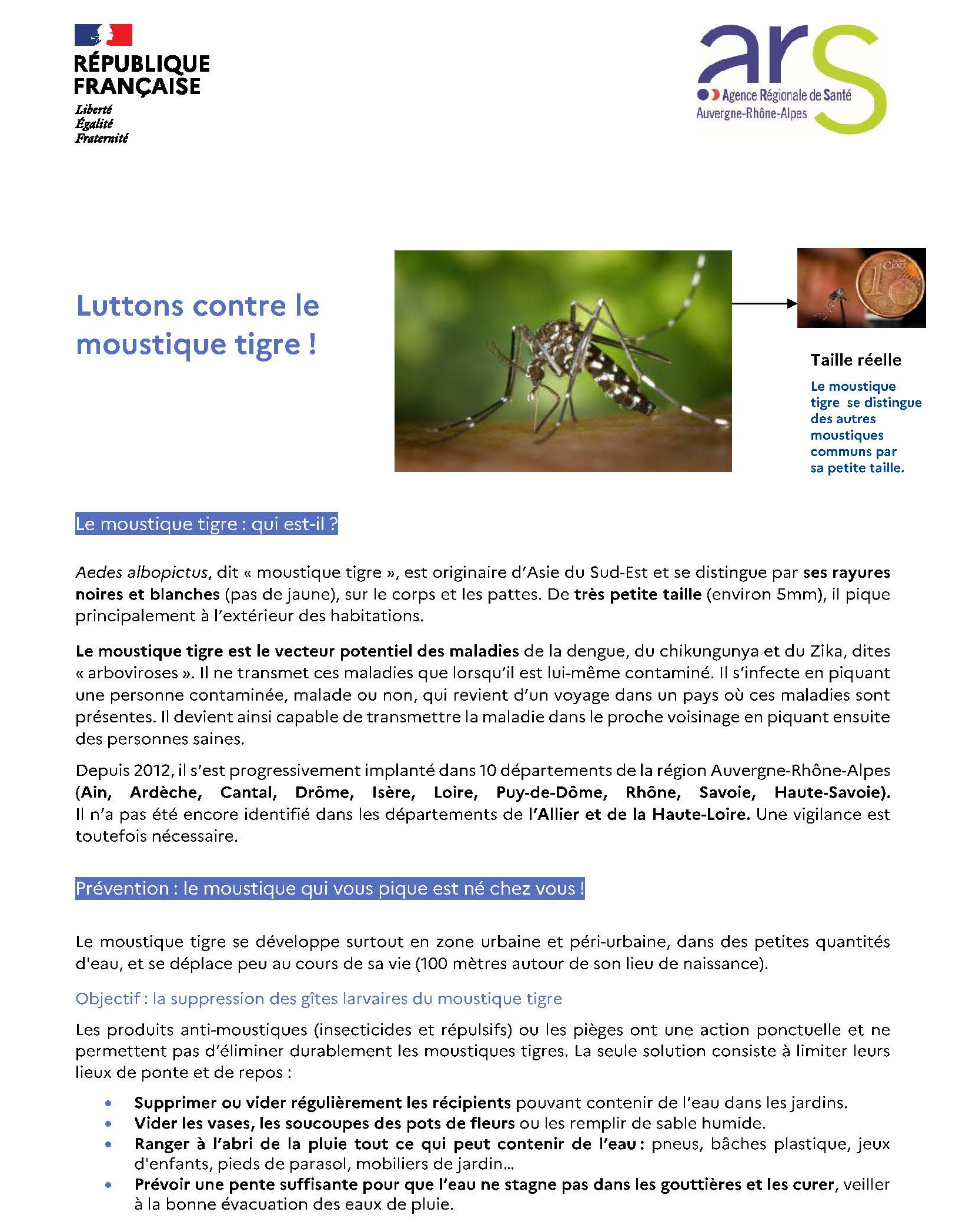 article P 1